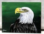 Bald Eagle by ThisArtToBeYours