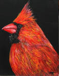 Large Painting, Cardinal by ThisArtToBeYours