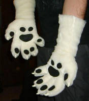 New tiger paws with claws