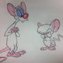 Pinky and the Brain