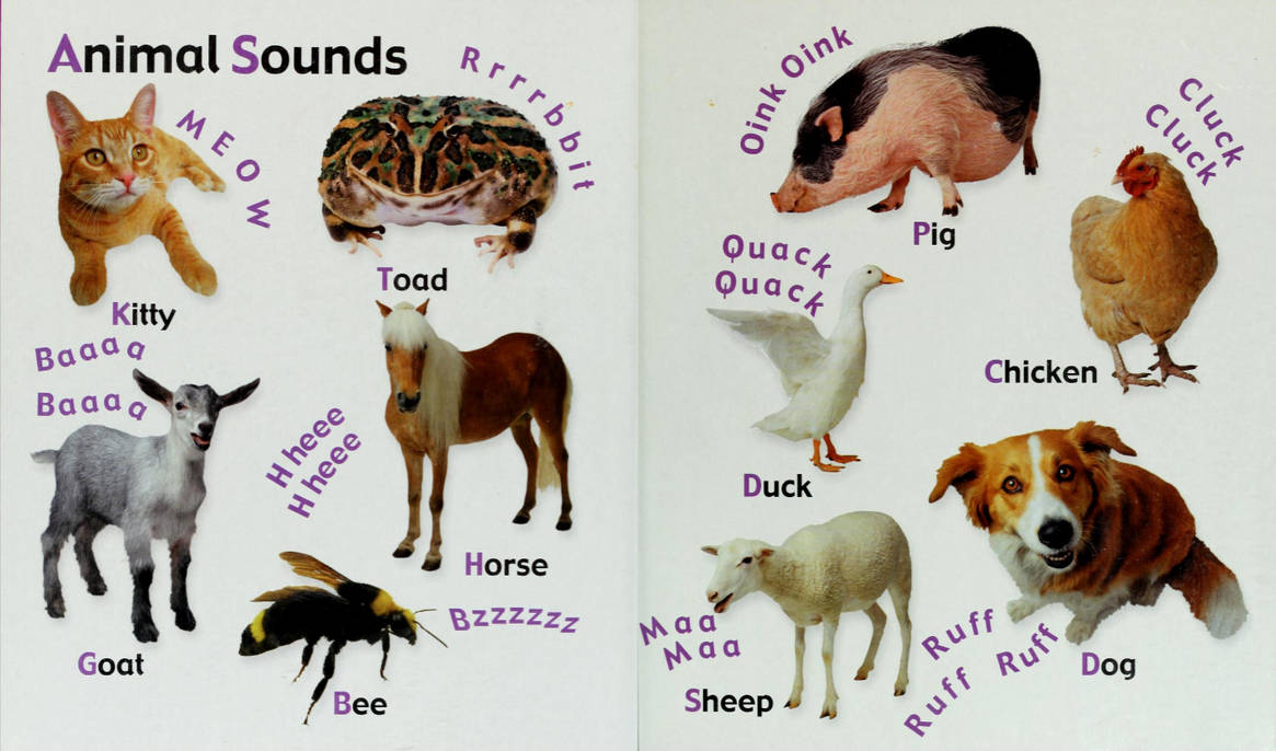 These Are The Sounds That The Animals Make by user-ek8uy3ze1v on DeviantArt