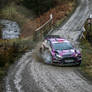 Ford Fiesta R5 - 5