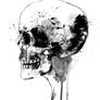 W.I.P Skull
