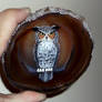 Great Horned Owl on Agate 2
