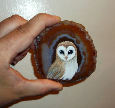 Barn Owl on Agate 3