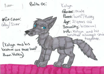 Balto OC: Kolya the Wolf/Dog
