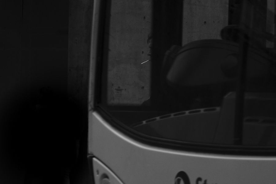 Modisi by a-r-v on DeviantArt