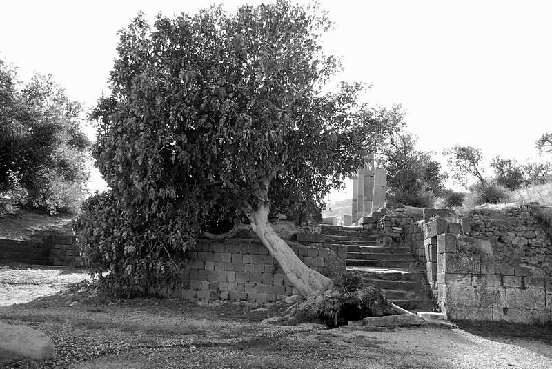 Finitto by Leewoo on DeviantArt