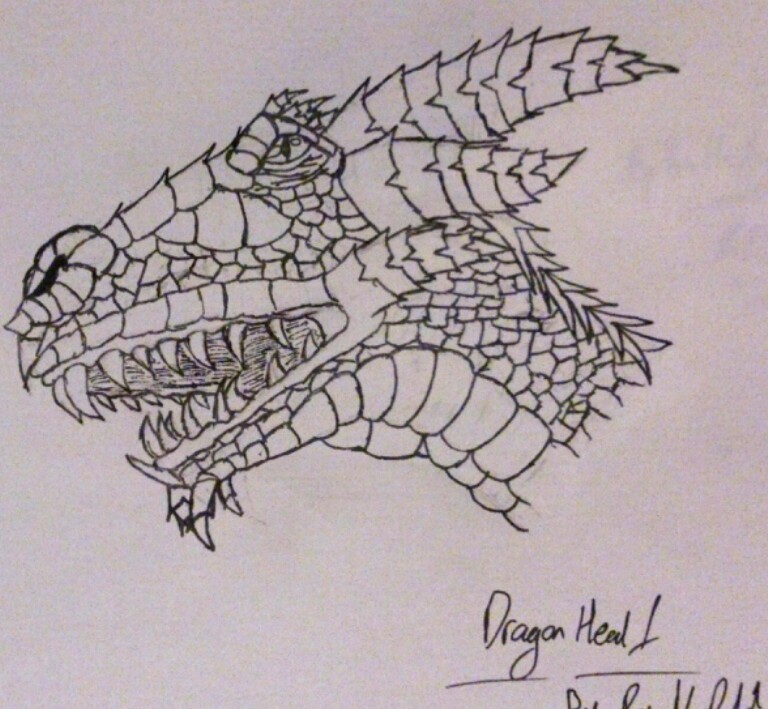 COMPLETELY RANDOM DRAWINGS: Dragon Head 1