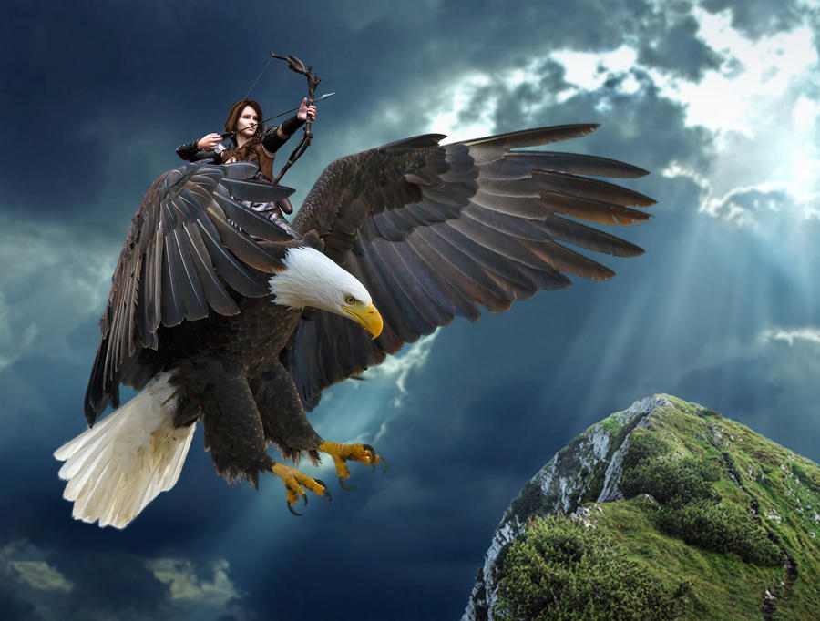 Roc Rider by aldona21 on DeviantArt