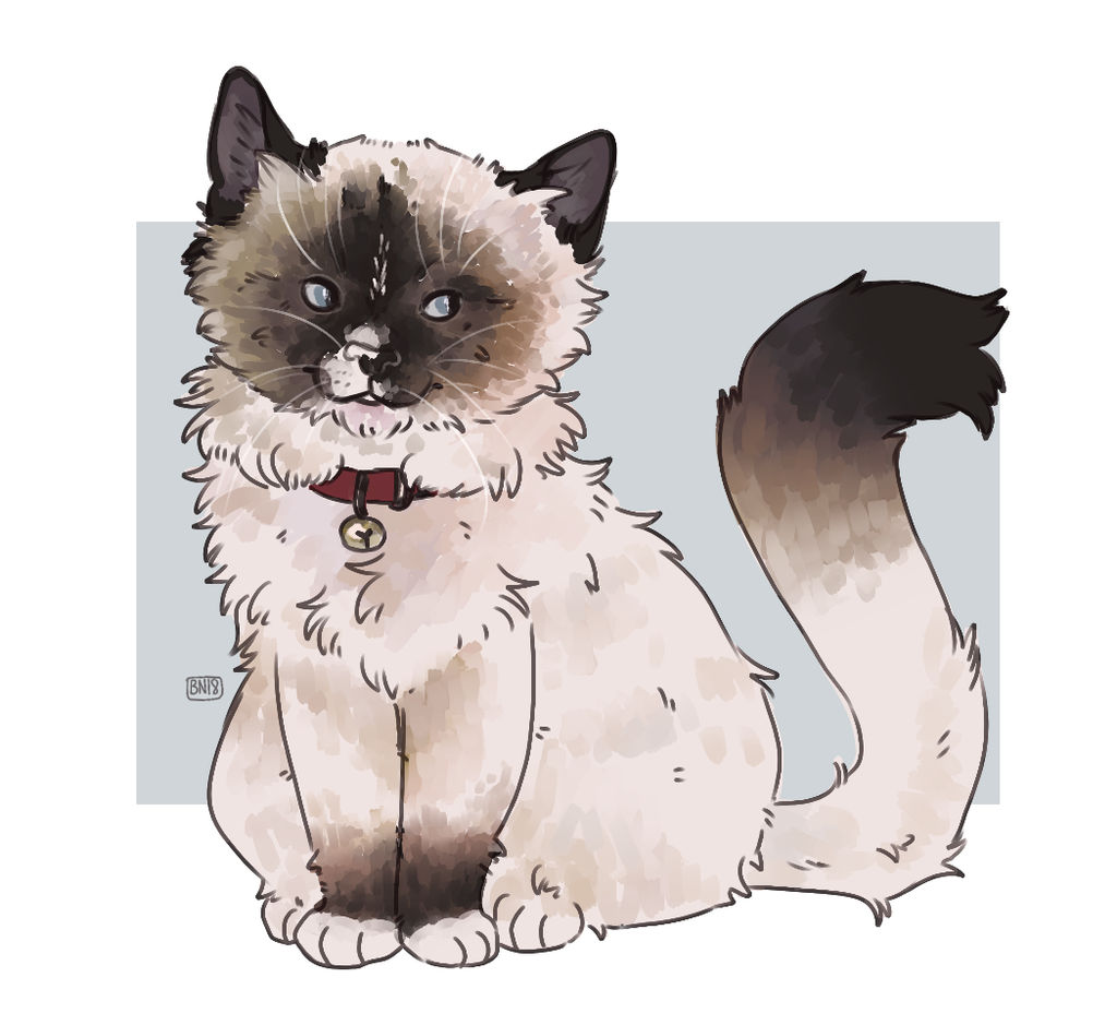 Simease Cat by beetlejpg on DeviantArt