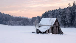 Cabin in the Snow