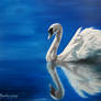 Swan