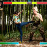 Chun-Li and Guile Fight