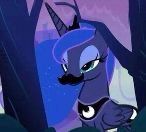 Luna with a Mustache