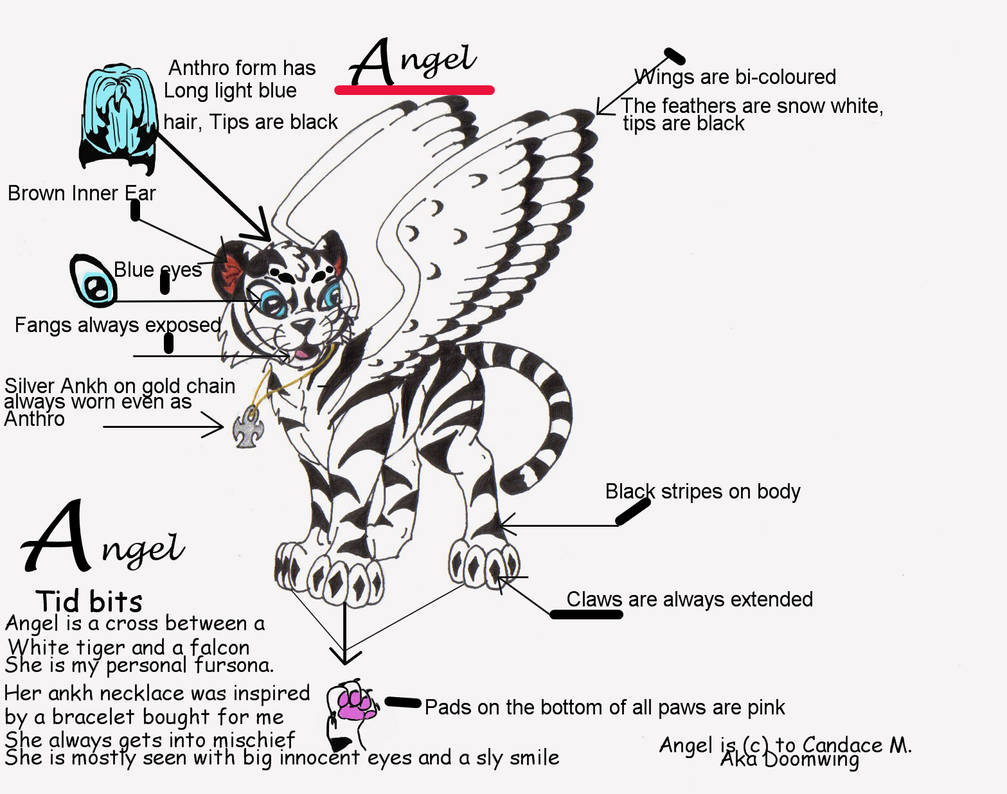 Angel Reference Sheet by Doomwing on DeviantArt