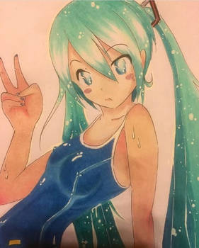 Summer Hastune Miku (FOR SALE)