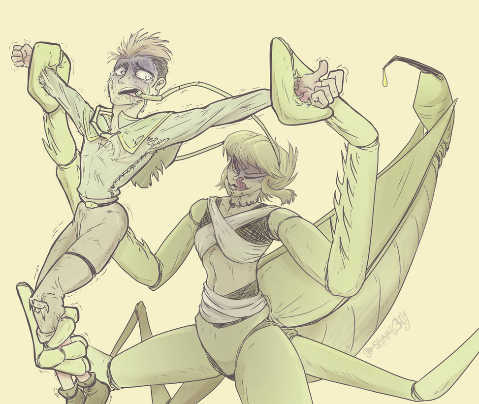 Mha Mantis The Mantis and her Prey by S-h-a-m-eboy on DeviantArt