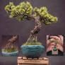 Handmade sculpted bonsai