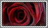 Red rose - stamp 3 by kas7ia