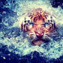 Tiger in water