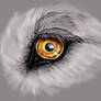 Wolfs eye