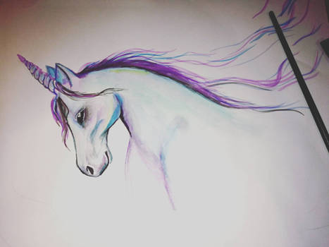 unicorn 