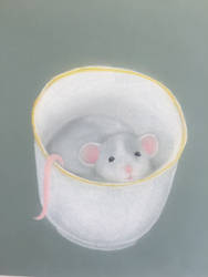 Teacup Rat