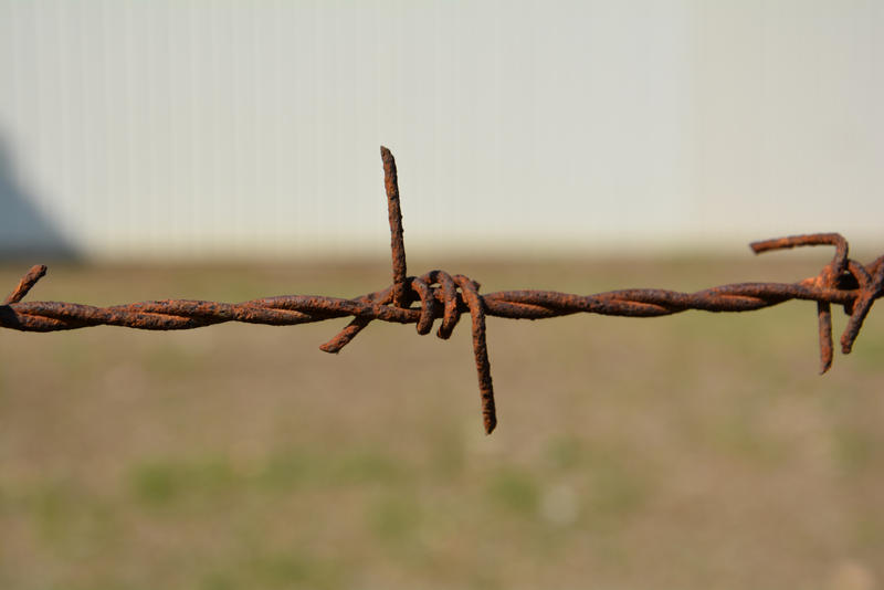 barb wire 1