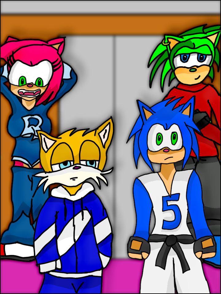 The Sonic Crew.