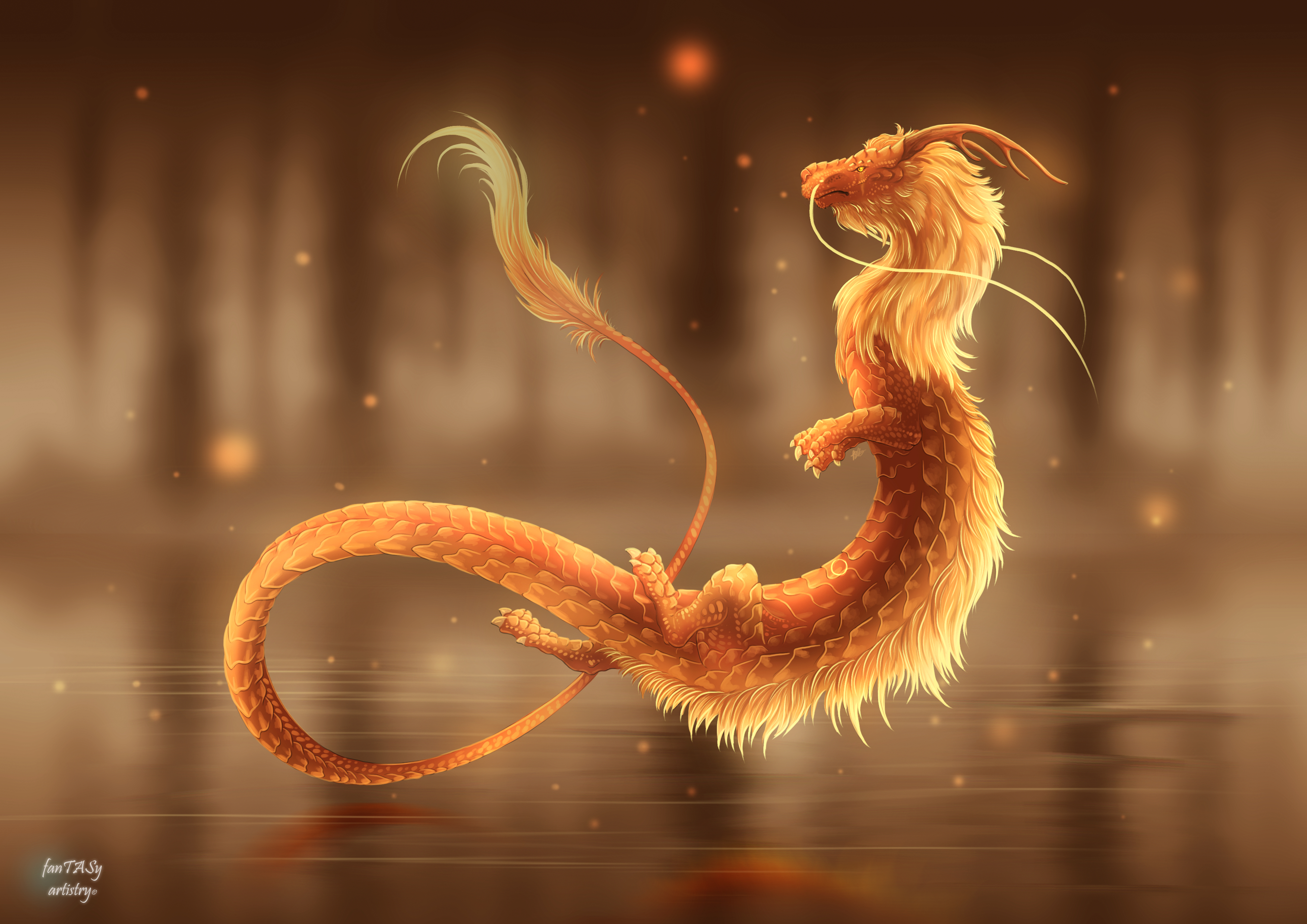 Amber dragon deals