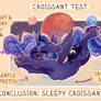 Croissant Test