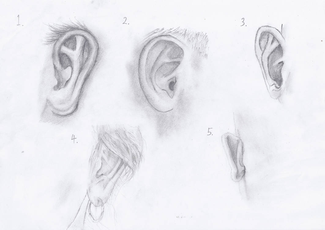 Ear study by Hedblom on DeviantArt