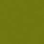 Green Apple texture 2K