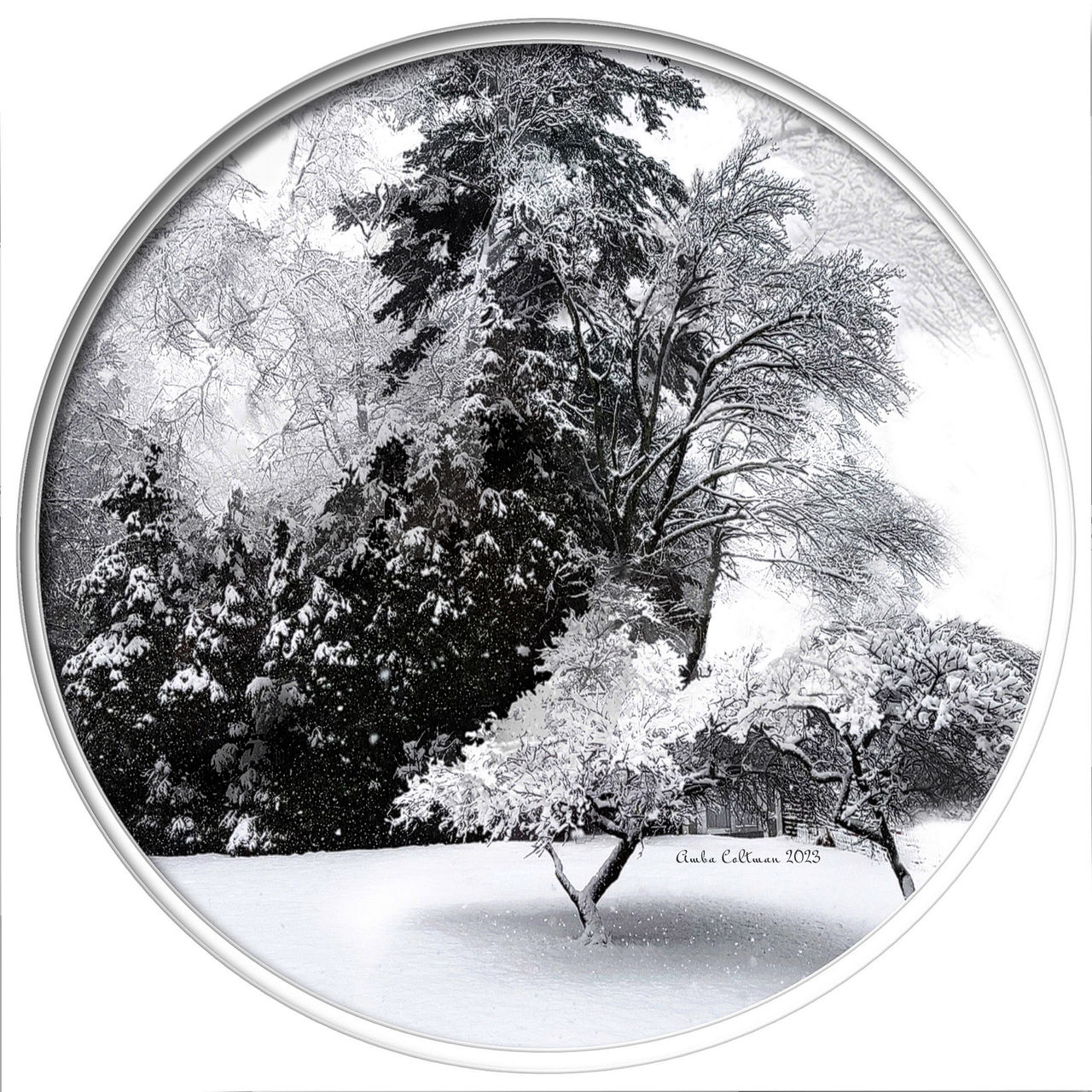 One Week Til Spring.......... by AmbaLeeColtman on DeviantArt