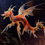 Leaf Sea Dragon