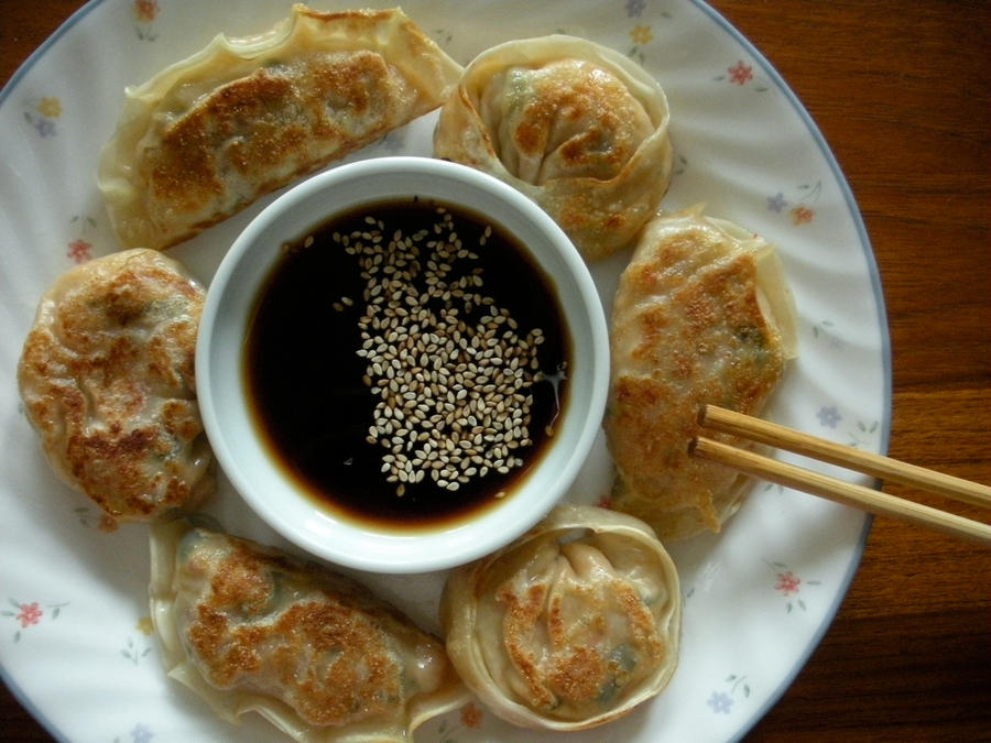 fried dumplings