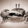 Fiddler Crab (#Seacreacuture no.1)