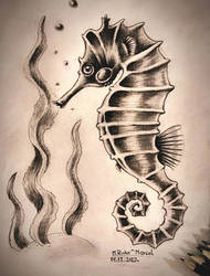 Seahorse ~ Hippocampus (#Seacreacuture no.2)