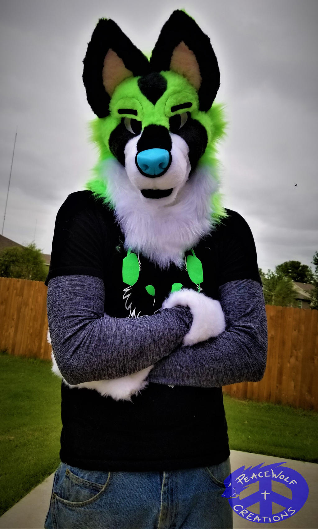 Renix the Coyote - Partial Fursuit by PeaceWolf-Actual on DeviantArt