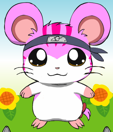 Victoria The Ninja Hamster