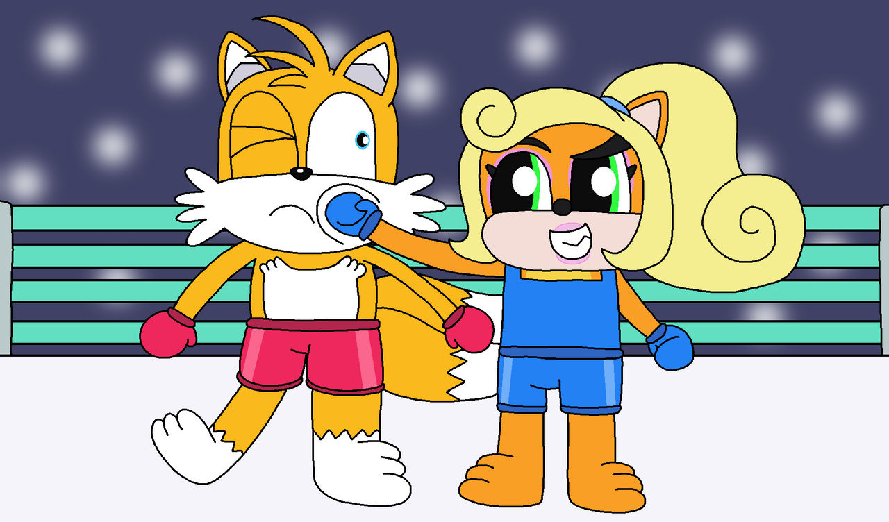 Deviantart Tails Boxing REQUEST - Tails and Coco's Boxing Match by KirbyHamtaroGirl on DeviantArt
