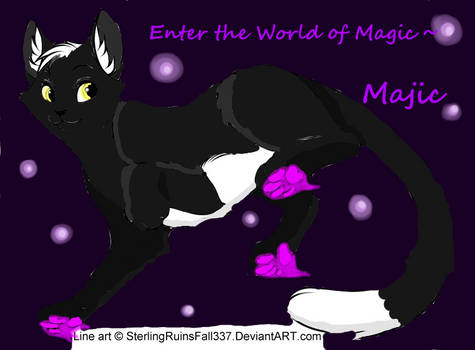 Enter the World of Magic