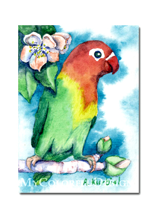 ACEO - Lovebird