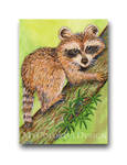 Raccoon Tree Hugger by Alina-Kurbiel