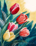 Tulips by Alina-Kurbiel