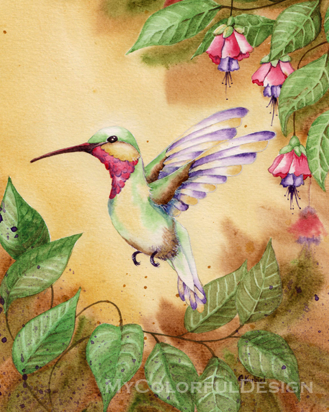 Hummingbird with Fuchsia