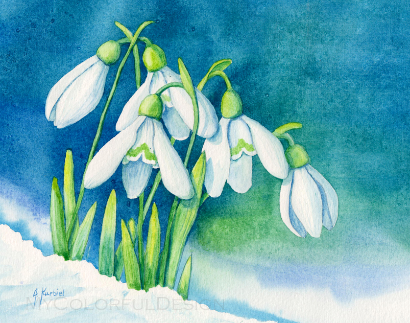 Snowdrops