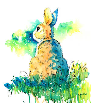 Rabbit in the Field