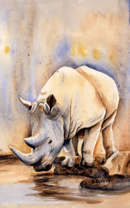 Rhino